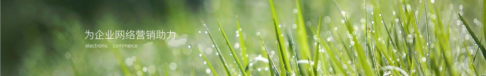 ݸ̨ԶƼ޹˾